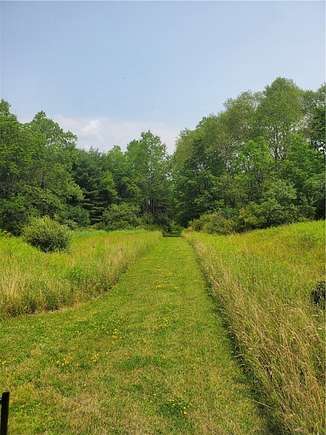 42.5 Acres of Recreational Land for Sale in Granger Town, New York