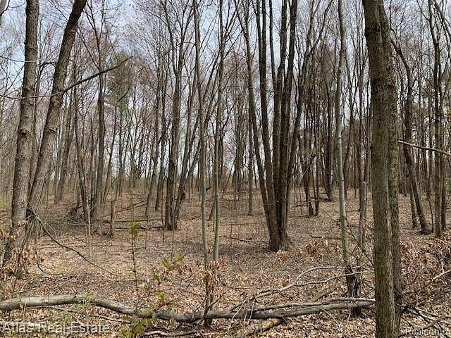 3.82 Acres of Residential Land for Sale in Ortonville, Michigan