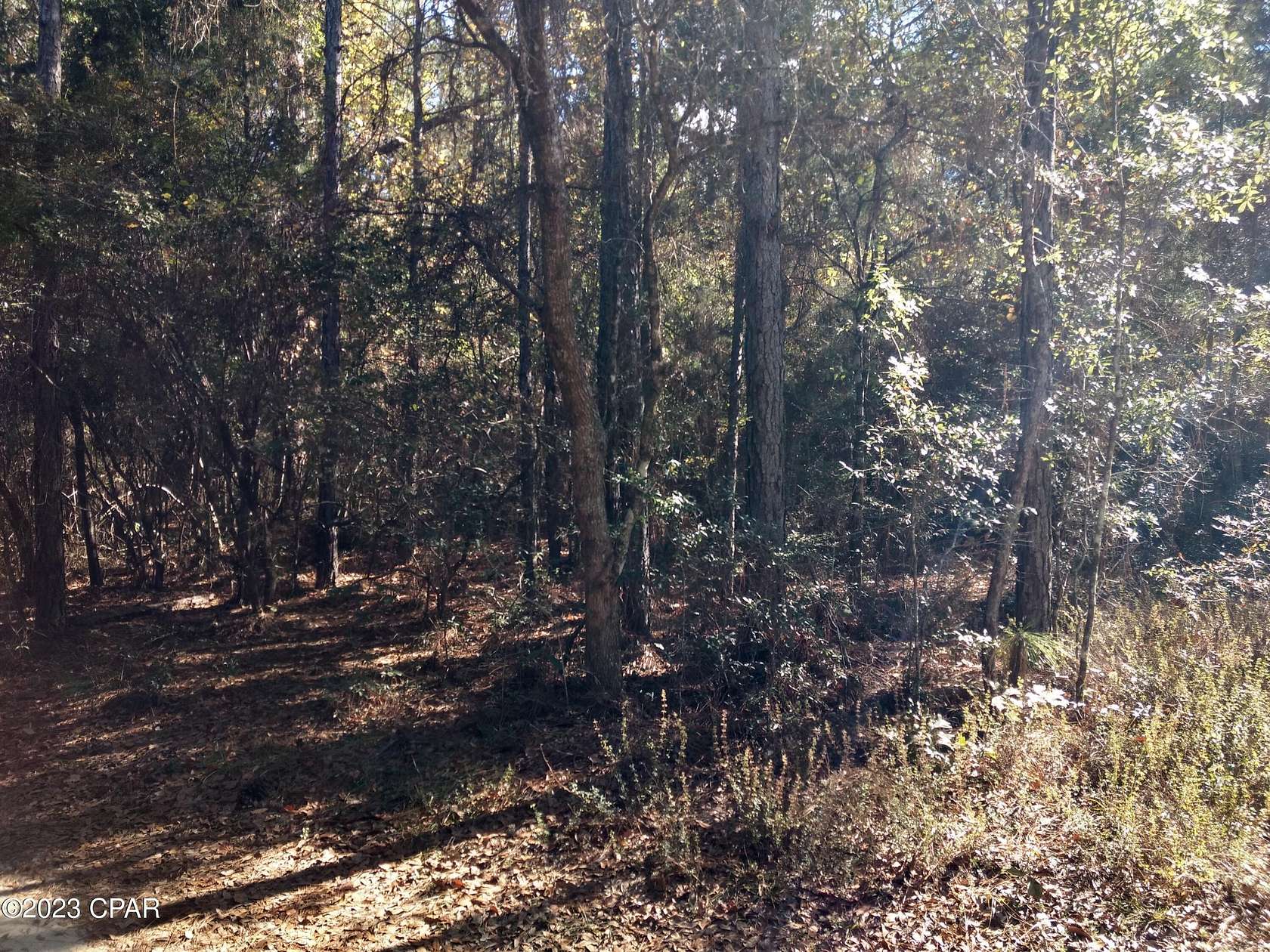 1 Acre of Land for Sale in Bonifay, Florida
