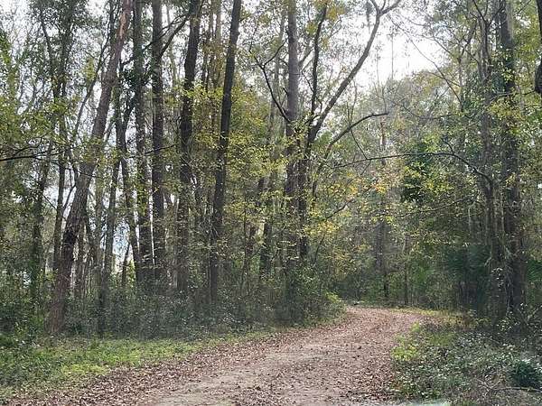 20 Acres of Improved Mixed-Use Land for Sale in Gainesville, Florida