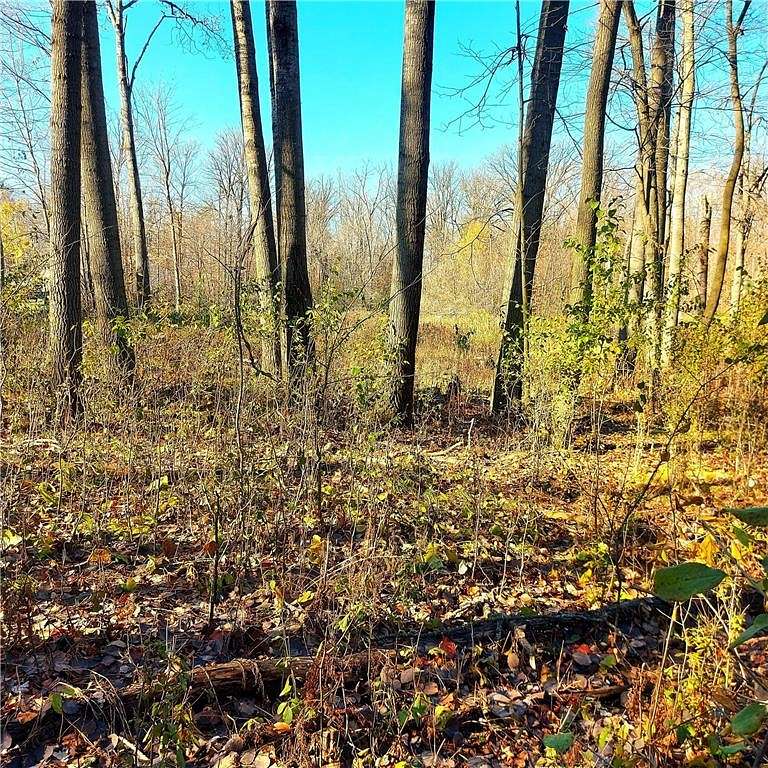 0.47 Acres of Residential Land for Sale in Amery, Wisconsin