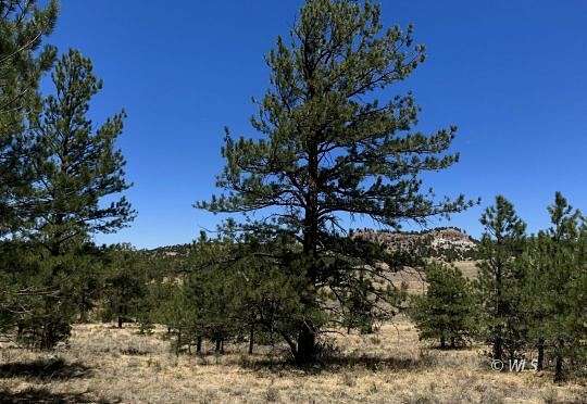 5.7 Acres of Residential Land for Sale in Westcliffe, Colorado
