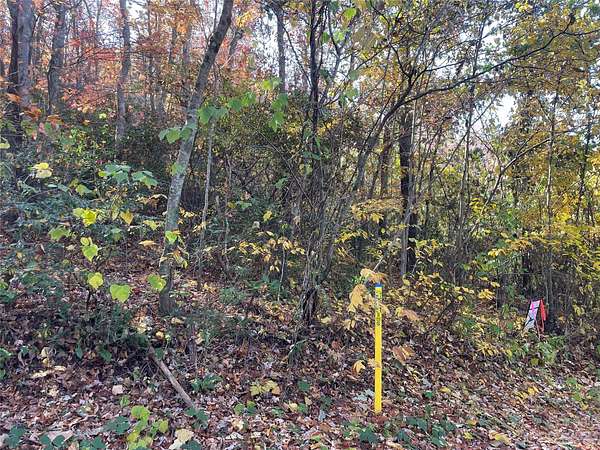 19 Acres of Land for Sale in Black Mountain, North Carolina
