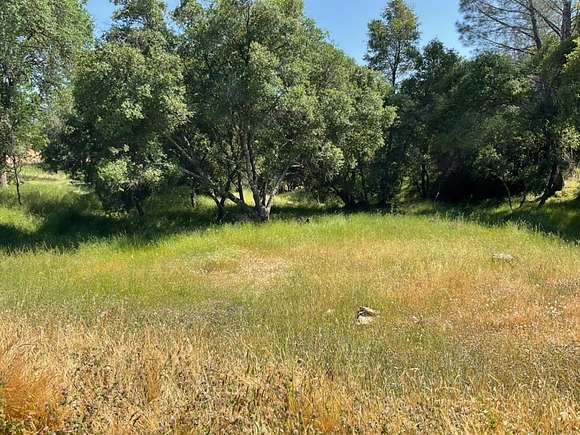 0.44 Acres of Residential Land for Sale in Angels Camp, California