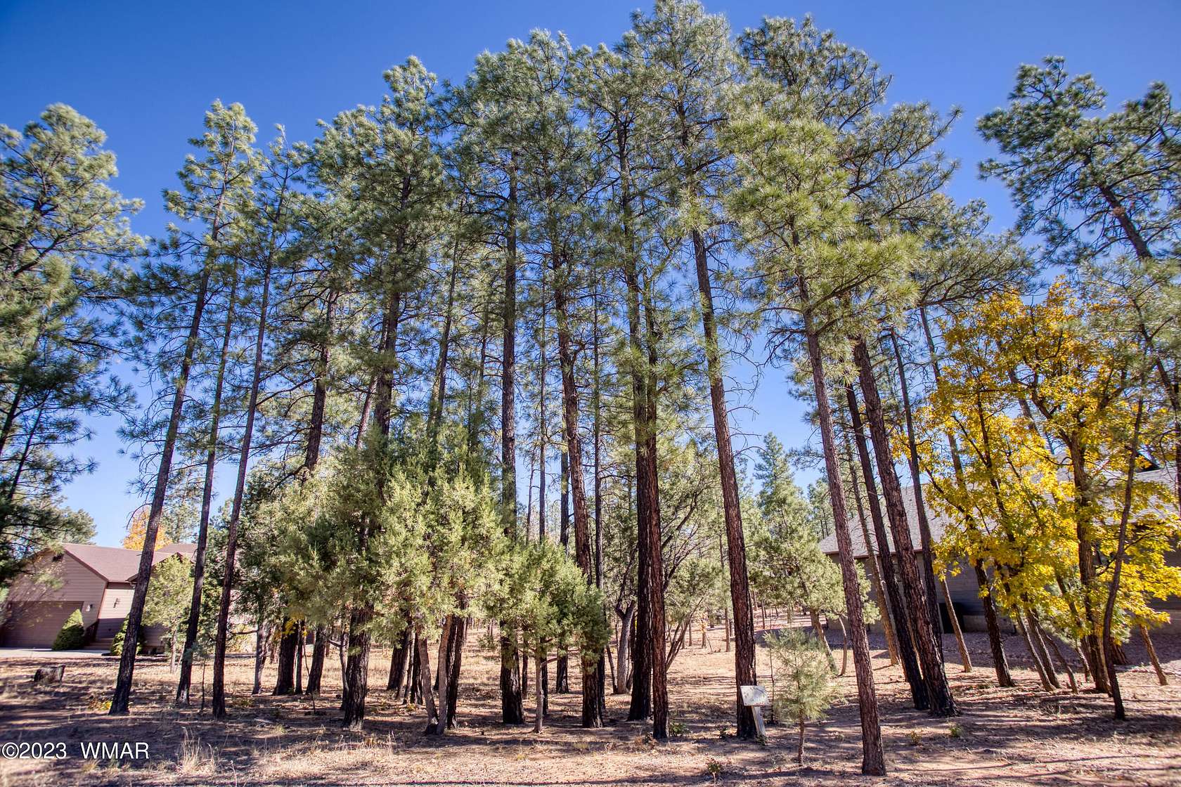 0.38 Acres of Residential Land for Sale in Lakeside, Arizona