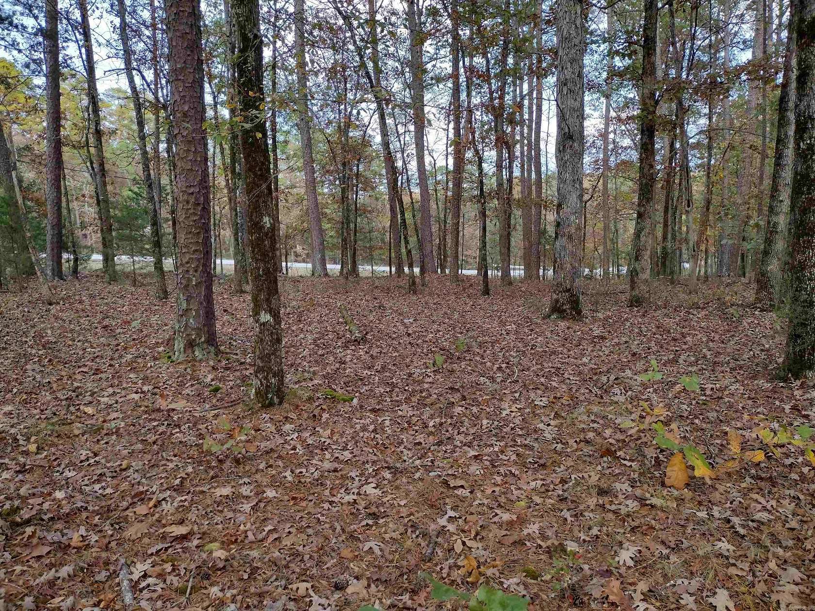 0.46 Acres of Residential Land for Sale in Hot Springs Village, Arkansas