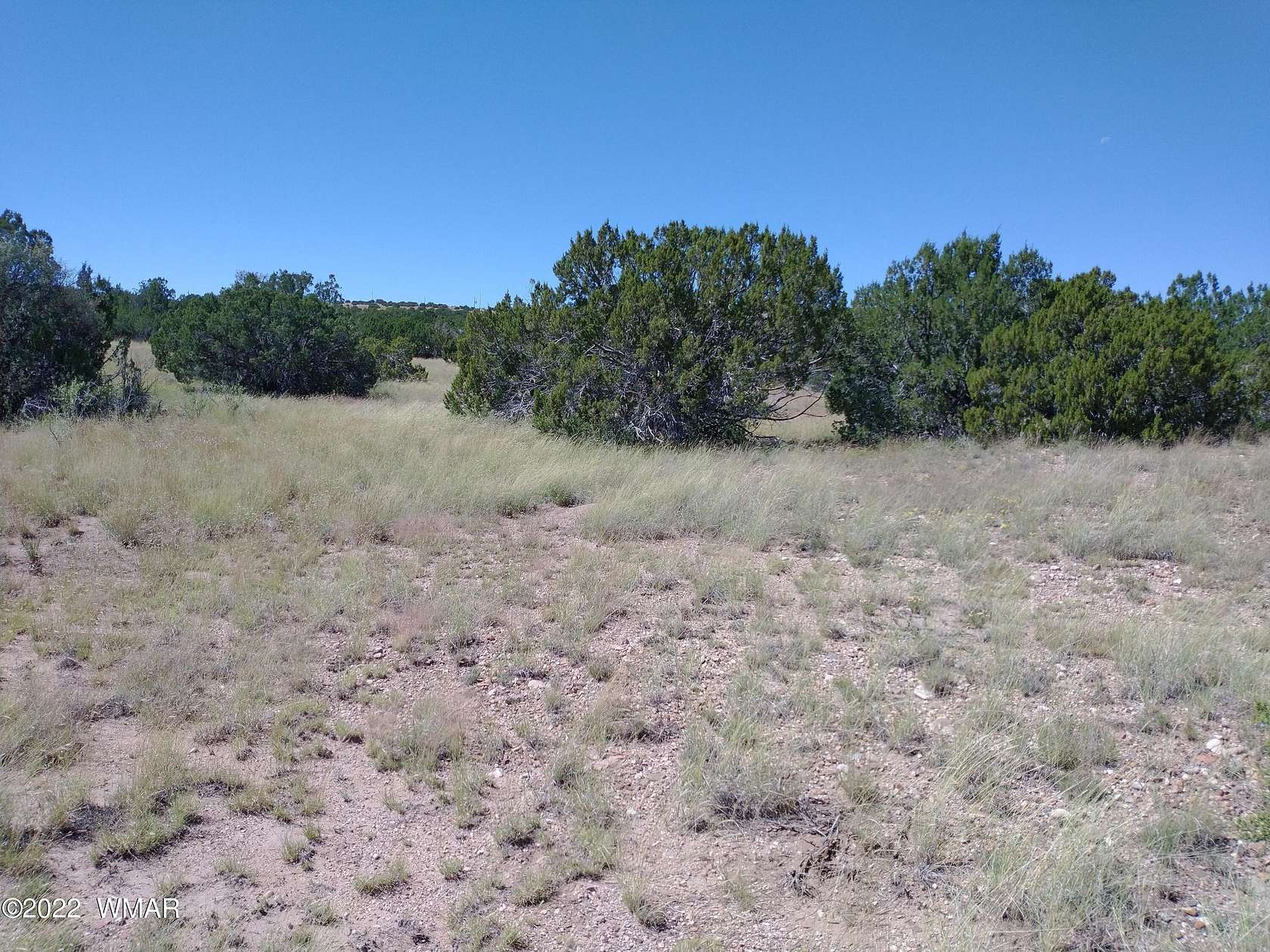 1 Acre of Residential Land for Sale in Concho, Arizona