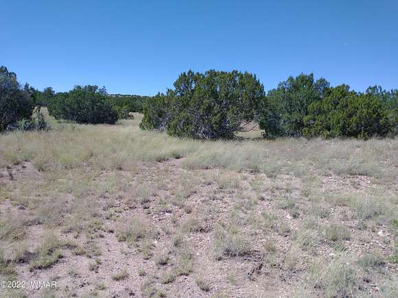 1.04 Acres of Residential Land for Sale in Concho, Arizona