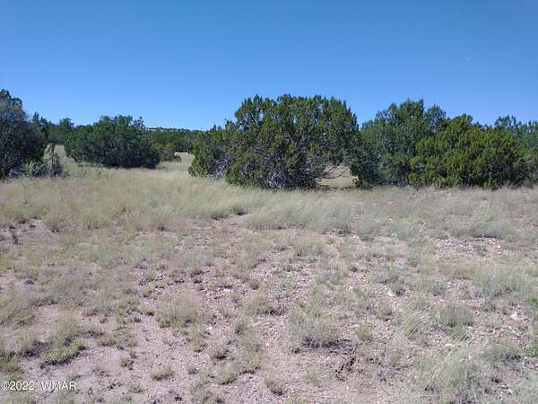 1 Acre of Residential Land for Sale in Concho, Arizona