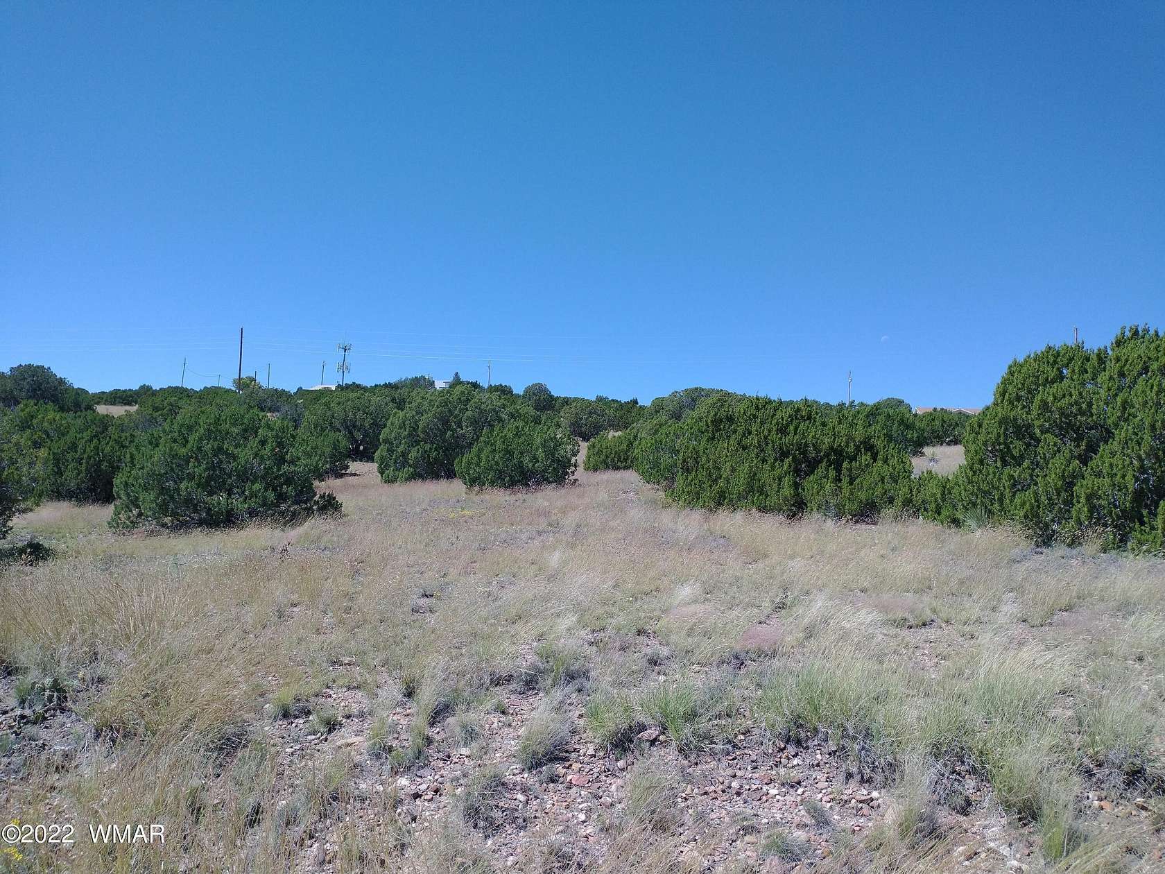 1 Acre of Residential Land for Sale in Concho, Arizona