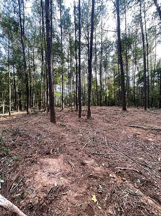 8 Acres of Residential Land for Sale in Poplarville, Mississippi