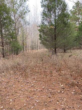 8.4 Acres of Residential Land for Sale in Paragould, Arkansas