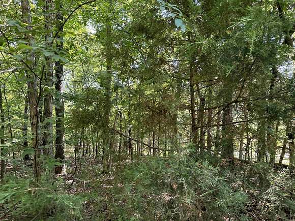 3.8 Acres of Residential Land for Sale in Flippin, Arkansas