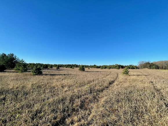 40 Acres of Land for Sale in Elmira, Michigan