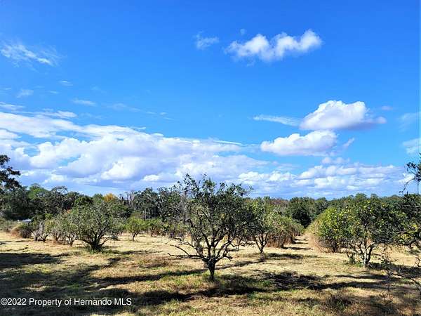 19.4 Acres of Land for Sale in Brooksville, Florida