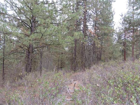 4.8 Acres of Residential Land for Sale in Chiloquin, Oregon