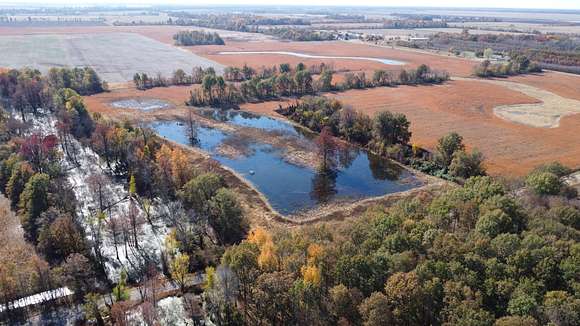 438 Acres of Recreational Land for Sale in East Prairie, Missouri