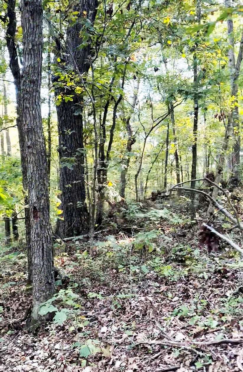 160 Acres of Recreational Land for Sale in Purdy, Missouri