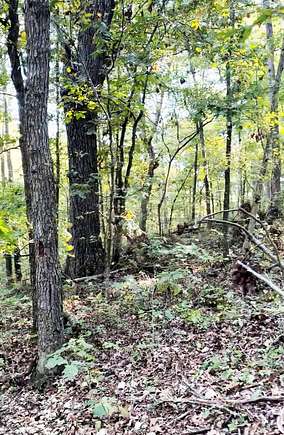 160 Acres of Recreational Land for Sale in Purdy, Missouri