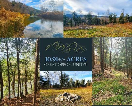 10.9 Acres of Land for Sale in Laurens, New York