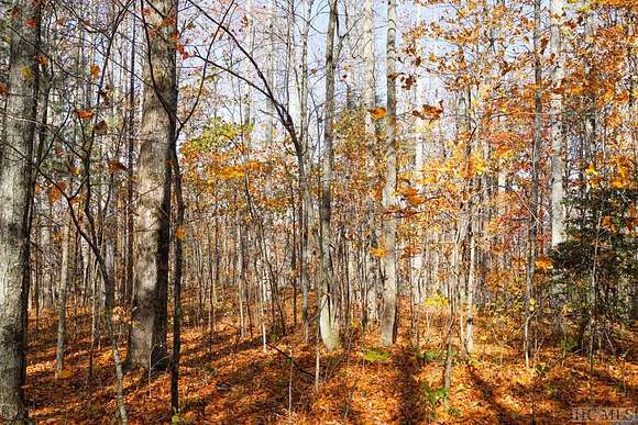 3.1 Acres of Land for Sale in Scaly Mountain, North Carolina