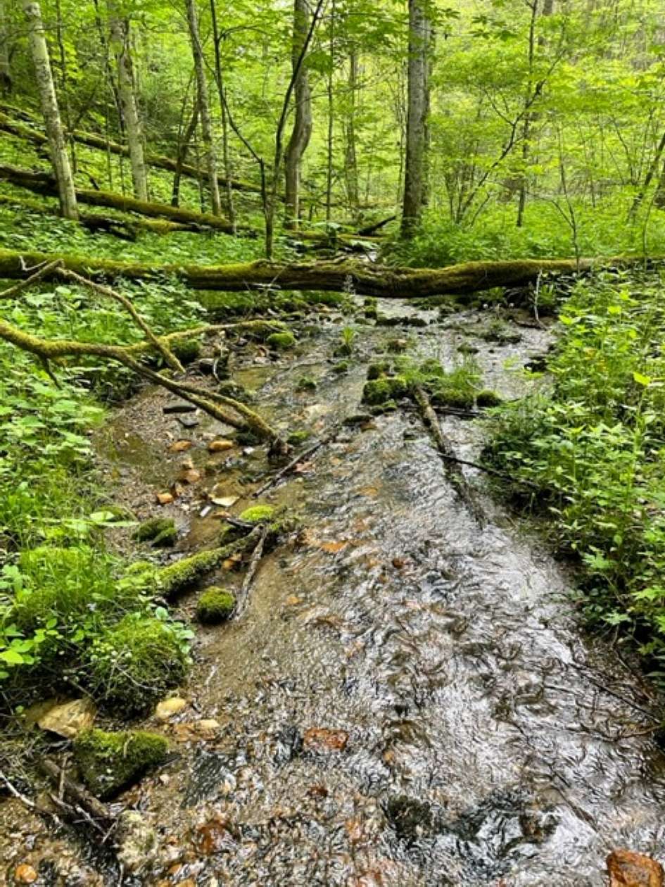 11.5 Acres of Recreational Land for Sale in Creston, North Carolina