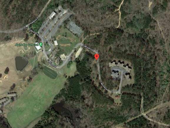 0.35 Acres of Residential Land for Sale in Alpine, Alabama