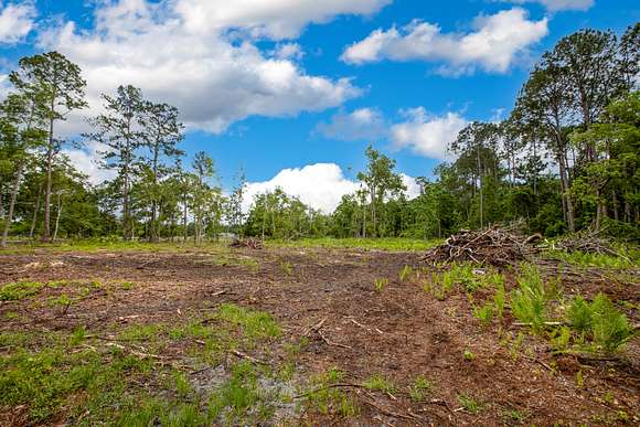 18.2 Acres of Land for Sale in St. Augustine, Florida