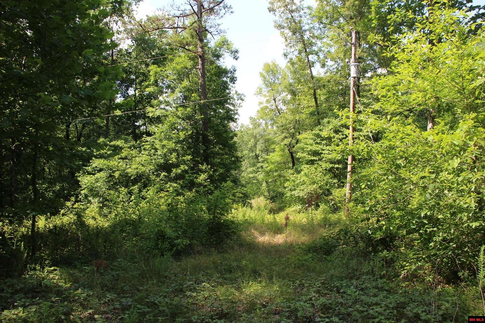 6.1 Acres of Land for Sale in Yellville, Arkansas