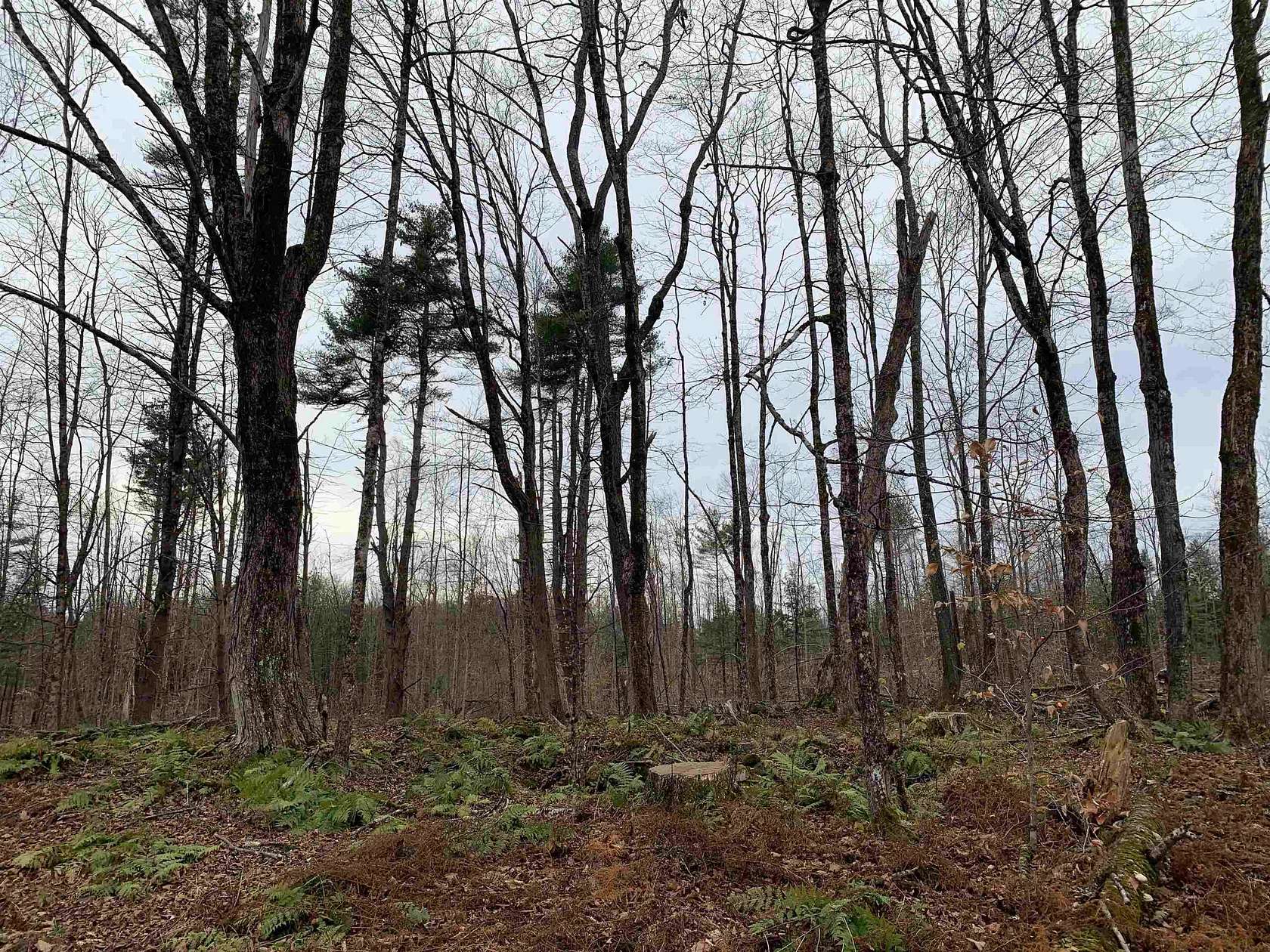 120 Acres of Recreational Land for Sale in Richmond, New Hampshire