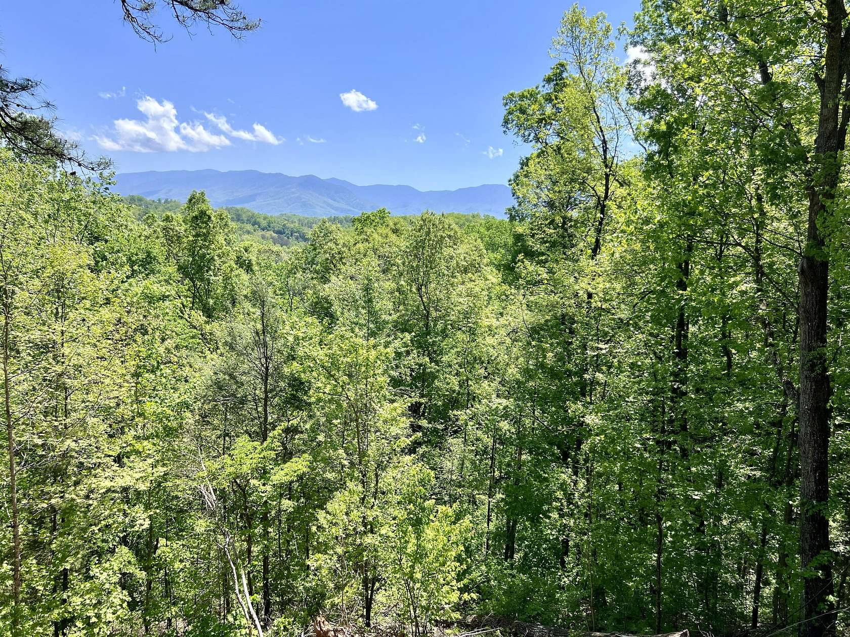 16.42 Acres of Land for Sale in Gatlinburg, Tennessee