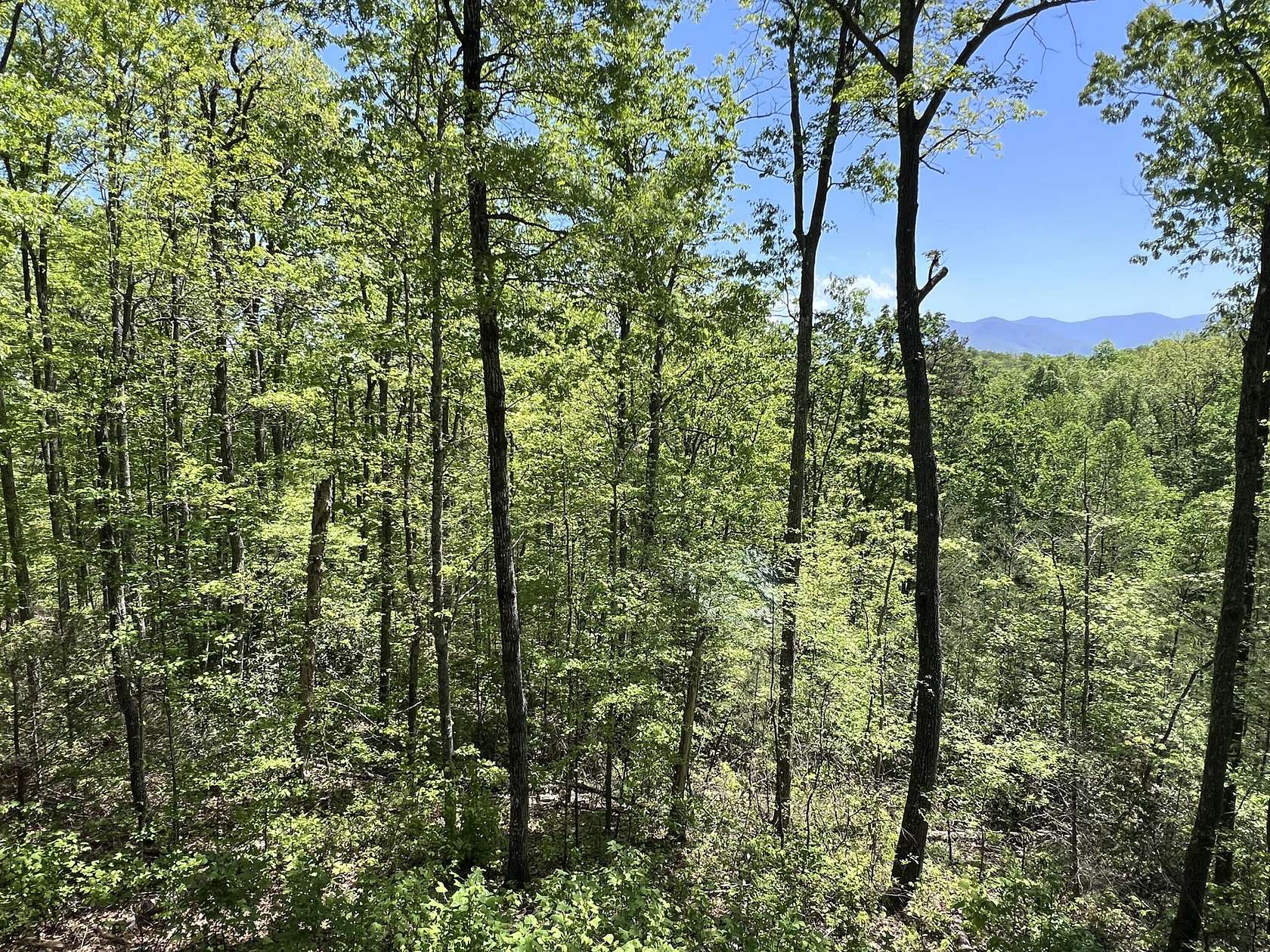 16.42 Acres of Land for Sale in Gatlinburg, Tennessee