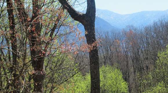 16.4 Acres of Land for Sale in Gatlinburg, Tennessee