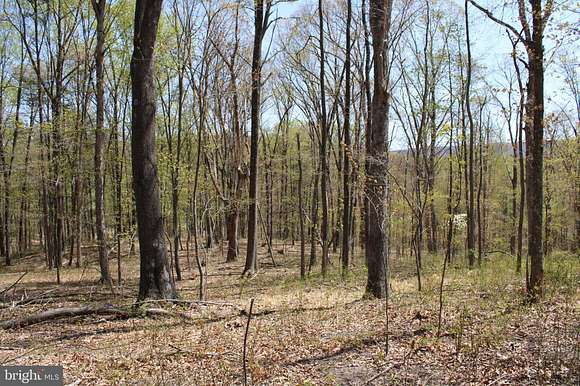 81.9 Acres of Land for Sale in Great Cacapon, West Virginia