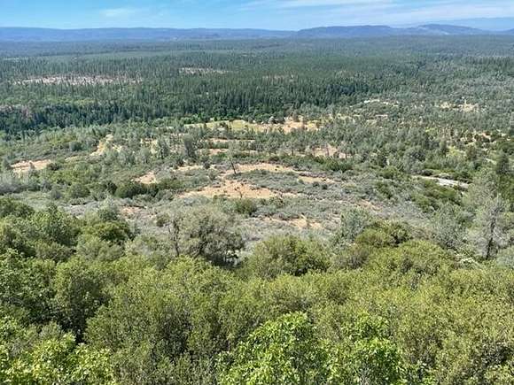 40 Acres of Land for Sale in Whitmore, California