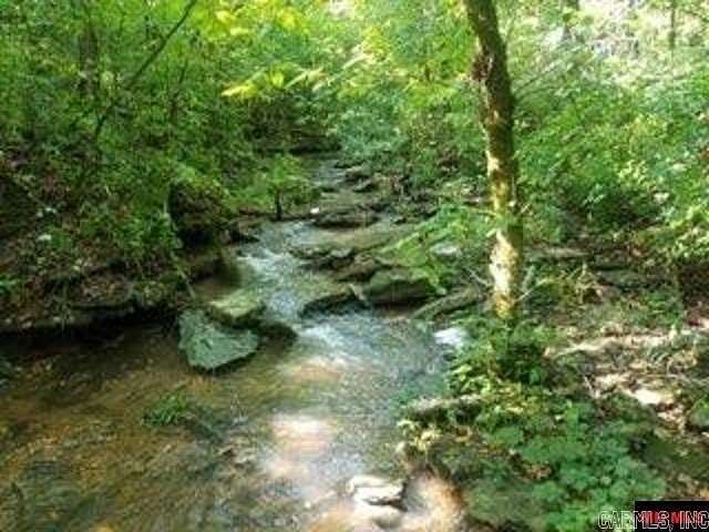 40 Acres of Recreational Land with Home for Sale in Everton, Arkansas