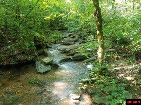 40 Acres of Recreational Land with Home for Sale in Everton, Arkansas