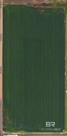 20 Acres of Land for Sale in Foley, Alabama