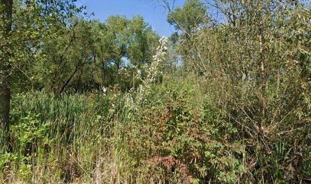 0.86 Acres of Residential Land for Sale in Waukegan, Illinois