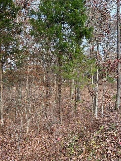 0.5 Acres of Residential Land for Sale in Big Sandy, Tennessee