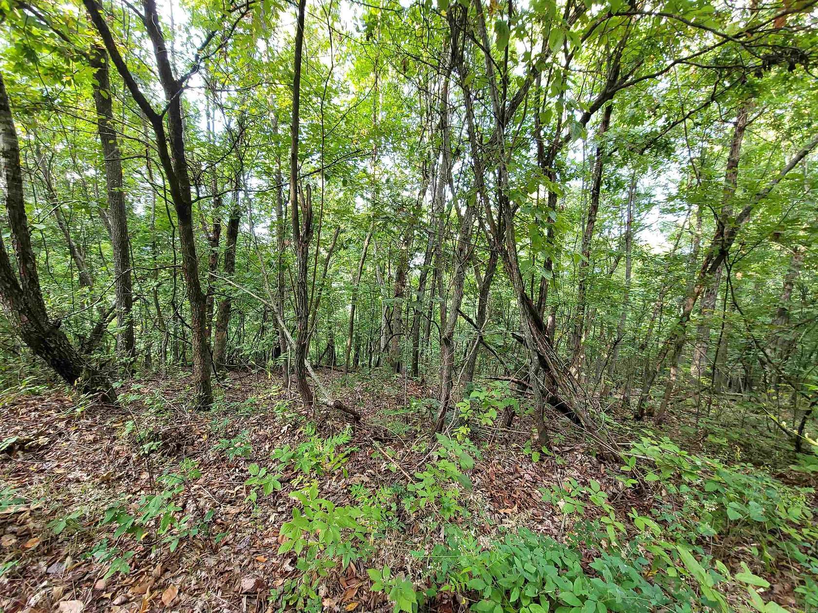 10 Acres of Land for Sale in Flippin, Arkansas