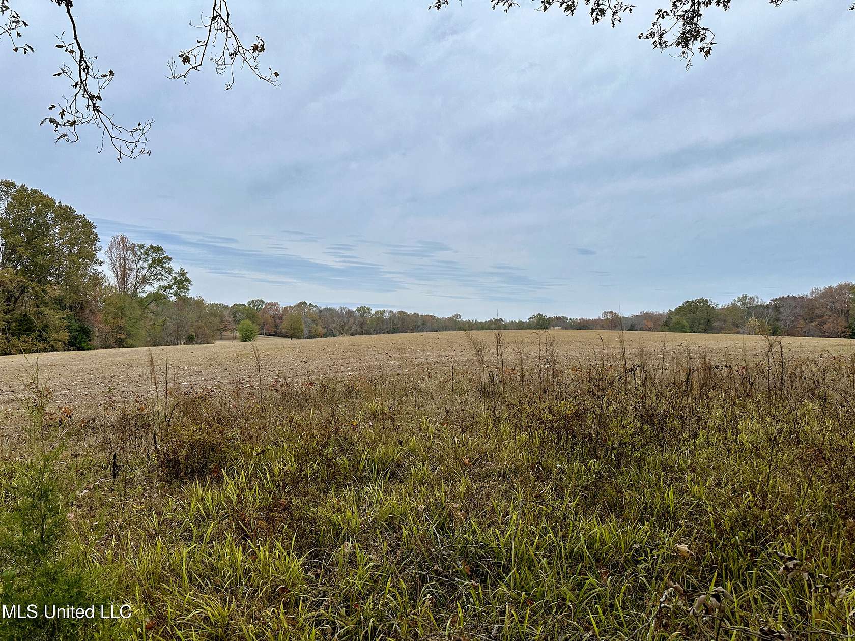 4.4 Acres of Residential Land for Sale in Clinton, Mississippi
