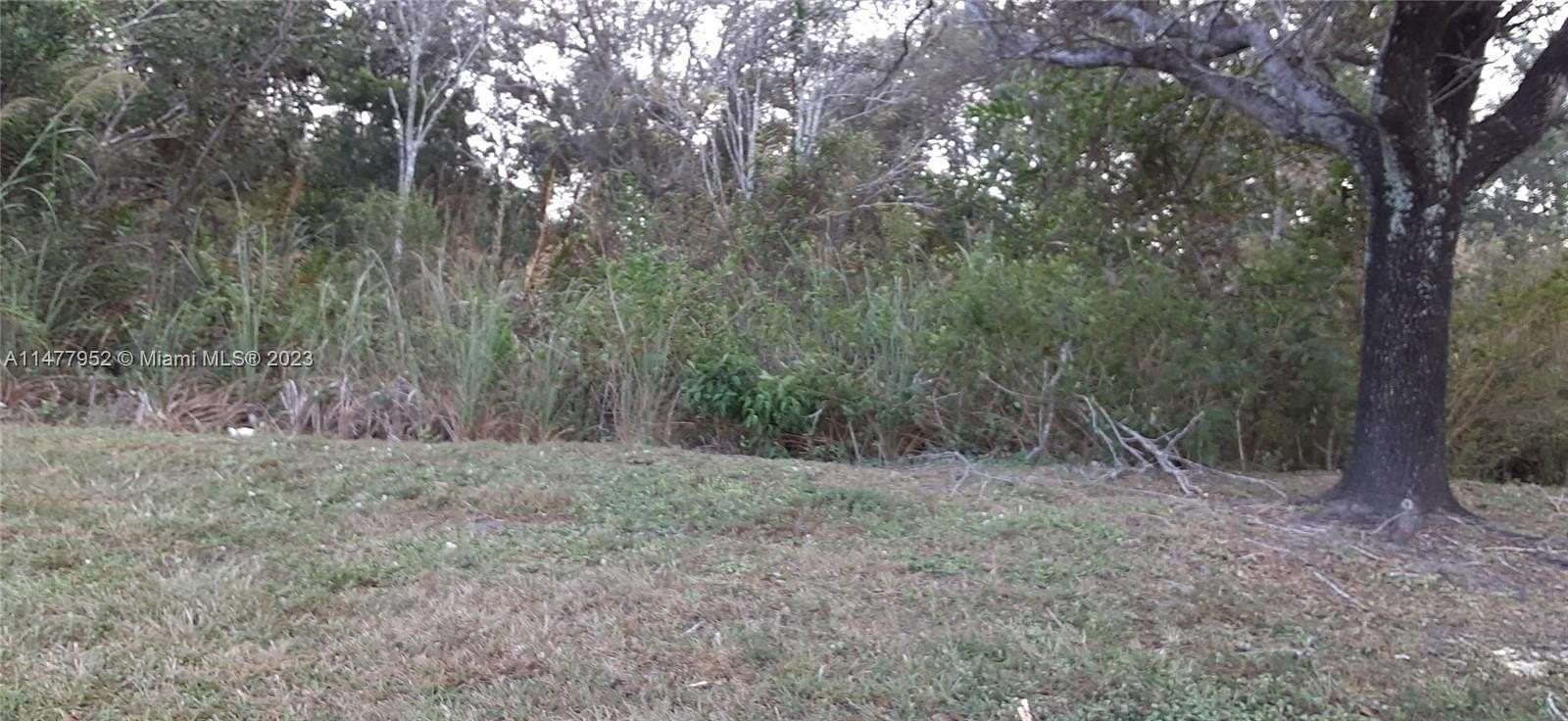 0.23 Acres of Residential Land for Sale in LaBelle, Florida