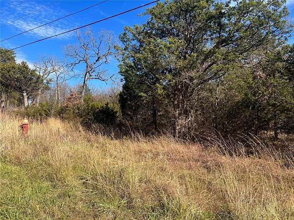 0.441 Acres of Residential Land for Sale in Bonne Terre, Missouri