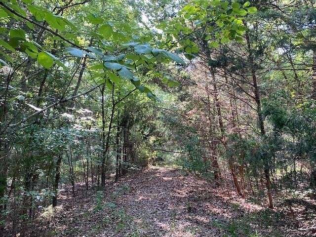 25.2 Acres of Recreational Land for Sale in Athens, Texas