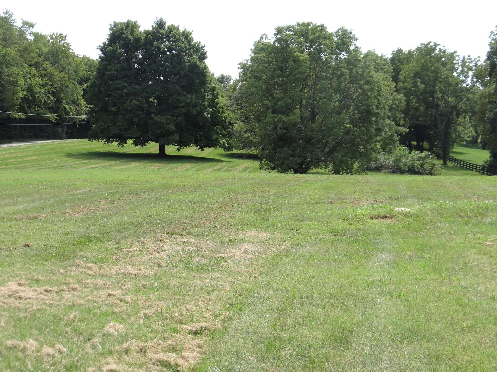 1.5 Acres of Residential Land for Sale in Midway, Kentucky