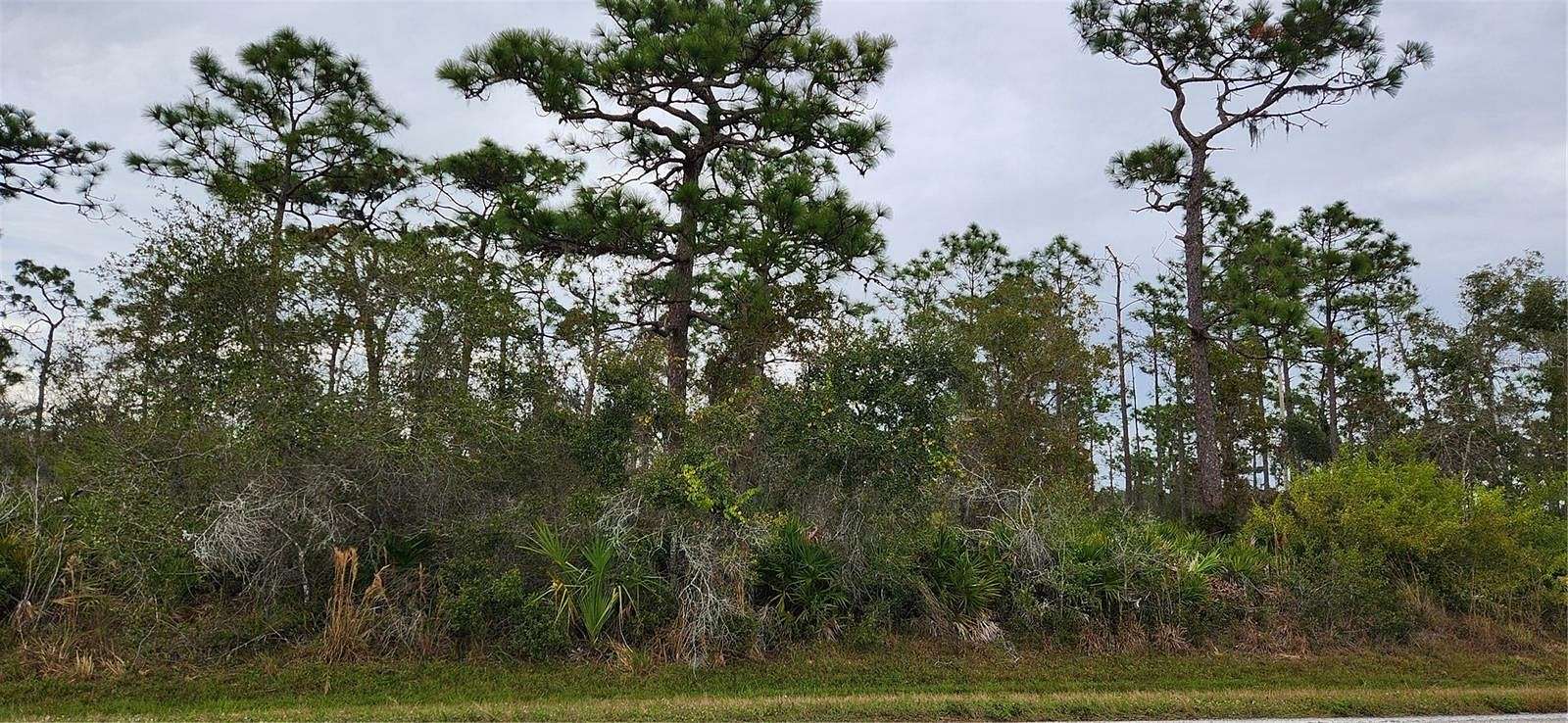 11.7 Acres of Land for Sale in Punta Gorda, Florida