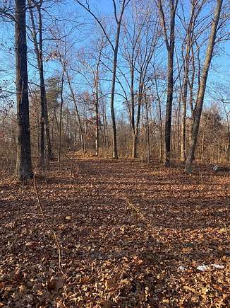 Land for Sale in Mannington, Kentucky