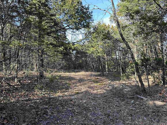 34.6 Acres of Land for Sale in Oakland, Arkansas