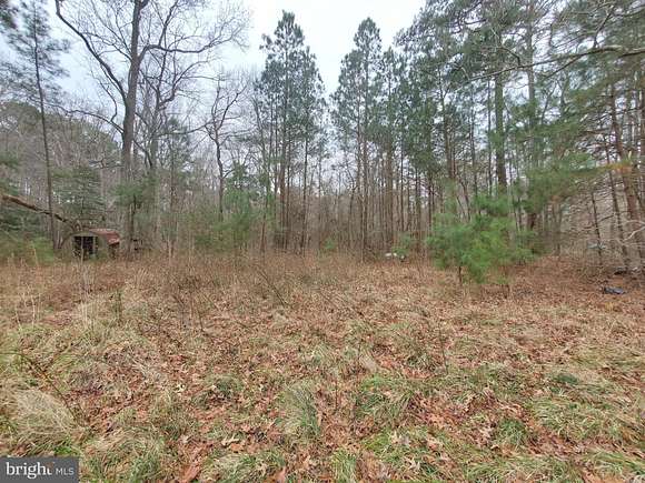 4.7 Acres of Residential Land for Sale in Scotland, Maryland